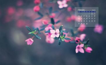 销售经理2月度工作总结6篇