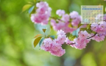 4月中班月总结7篇