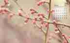 大班4月份工作总结5篇