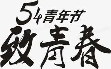 54青年活动总结推荐8篇