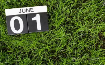 幼儿园6月活动方案8篇