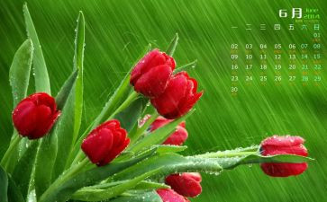 6月的销售工作报告7篇