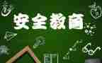 911活动方案优秀8篇