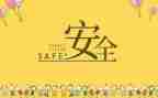 安全年终总结报告5篇