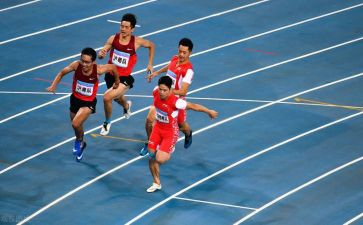 迎2024奥运作文5篇