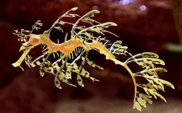 高中生物教案模板精选6篇