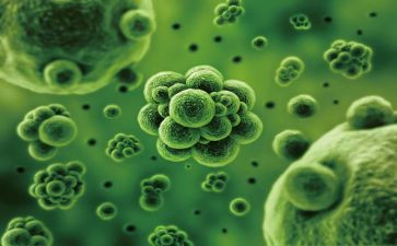 生物教师教学反思7篇
