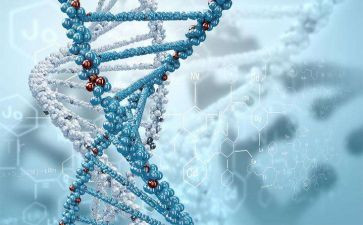 初中生物教学总结报告5篇