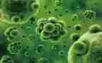 生物教师教学反思7篇