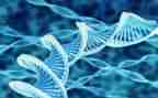 高二生物工作总结8篇