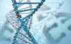 初中生物教学总结报告5篇