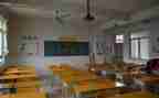 幼儿园大班班级活动总结5篇