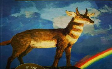 斑羚飞渡作文7篇