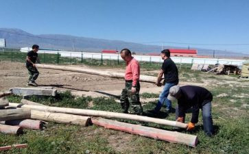 搬木头教案最新7篇