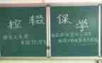 环保学生事迹材料8篇