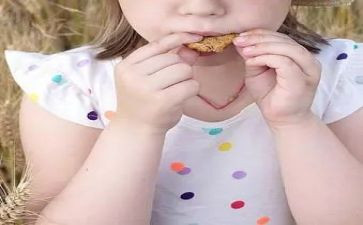 开饼干店小班数学教案6篇