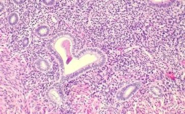 病理科半年度的工作总结5篇