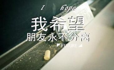 毕业心得体会范文优秀5篇