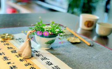 与众不同的我作文最新8篇