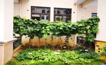 蔬菜购买合同6篇