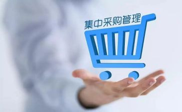 采购处述职报告6篇