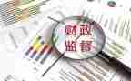 财政总出纳年终总结7篇