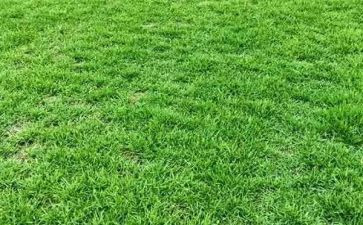 《野草》鲁迅读后感6篇