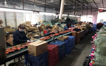 电厂员工个人总结模板8篇
