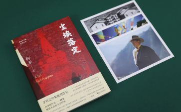 《尘埃落定》读后感6篇