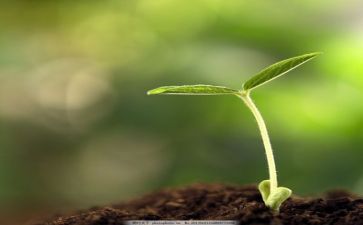 成长类作文400字通用5篇