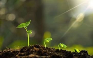 有关成长类的作文推荐8篇