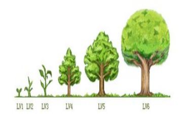 成长类作文800字7篇