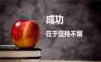 当我面对成功的作文5篇