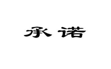 合同承诺书模板8篇