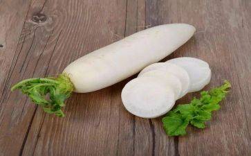 吃萝卜的教案模板7篇