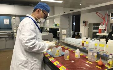 抽样科年终总结6篇