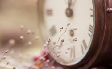 触动心灵的作文参考8篇