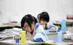 初中生实践报告模板8篇