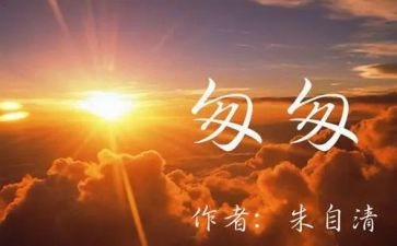 如匆匆后感作文模板5篇
