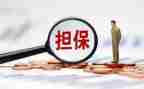 反担保保证合同8篇