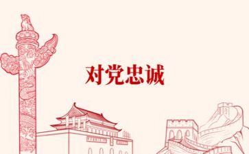 党的大活动总结8篇