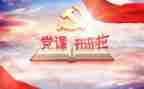 主题党日主题活动总结6篇