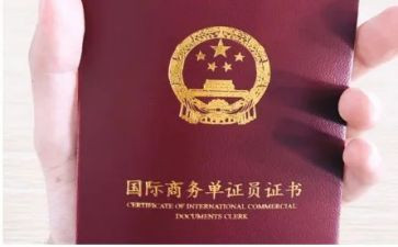 单证个人年终总结5篇