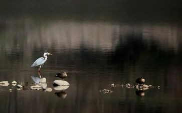 关于等待的话题作文6篇