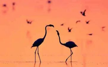 《生活的滋味》作文600字6篇