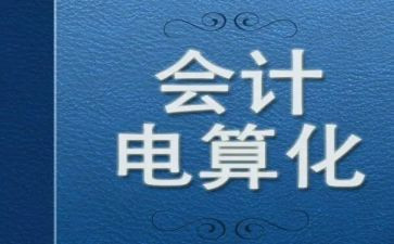 电算会计专业实习报告5篇