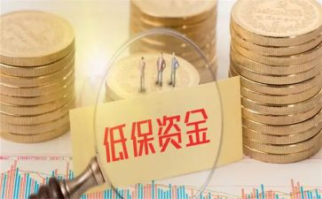 低保工作个人总结5篇