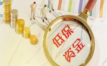 低保不工作总结5篇