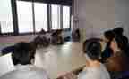 顶岗实习报告幼师总结8篇