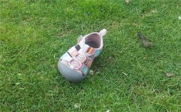 丢垃圾的心得体会参考8篇